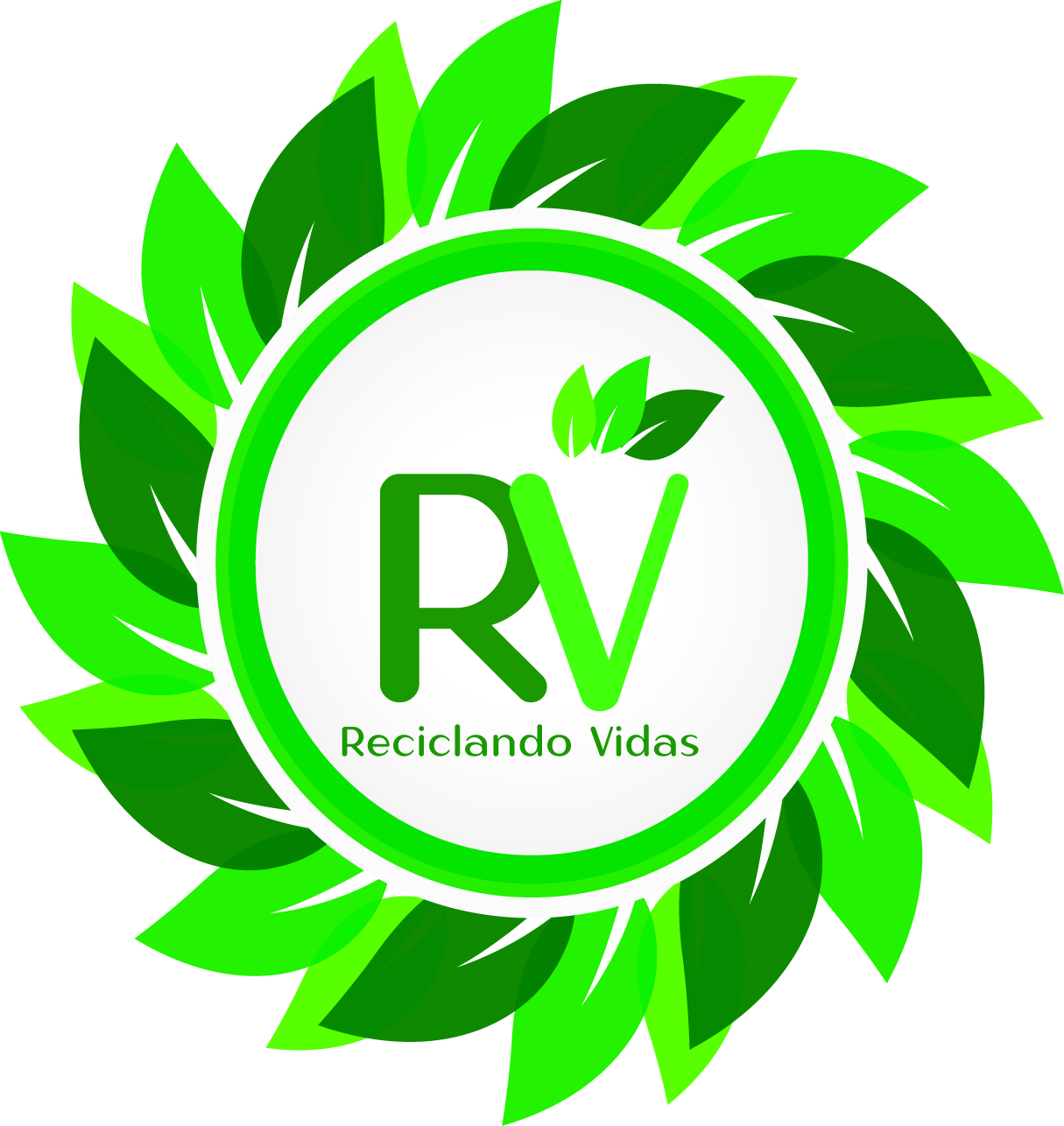 reciclado vidas